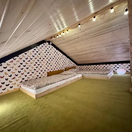 Domcio Paluch Ferienhaus