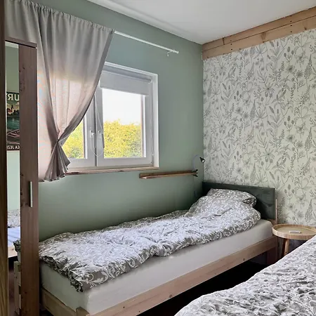 Domcio Paluch Wejdyki