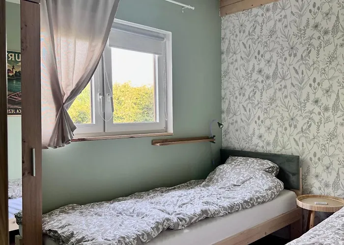 Domcio Paluch Wejdyki